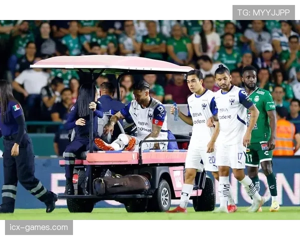 南美足球青训体系持续发力，新星闪耀赛场