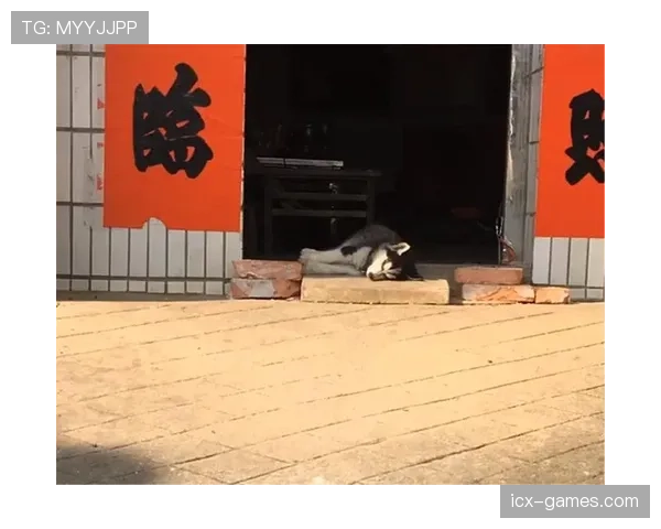 蒋圣龙家的狗都比我去过的地方多